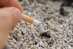 Hanoi se suma al Día Mundial sin Tabaco 2019