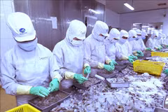 Cooperan países miembros de ASEAN para desarrollar la industria pesquera