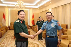 Efectúan Vietnam e Indonesia primer Diálogo sobre Políticas de Defensa 