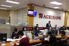 Constituye Asia mayor mercado de pago de importación y exportación de banco vietnamita Agribank