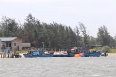 Depresión tropical en Mar del Este podría convertirse en tifón
