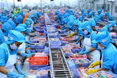 Destacan expertos extranjeros papel de Vietnam en comunidad internacional