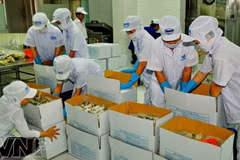 Industria de procesamiento y envasado de Vietnam registra crecimiento estable