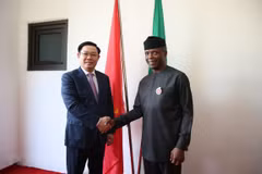 Desarrollo de Vietnam incentiva el progreso de Nigeria