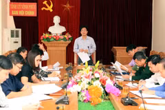 Instancia partidista en provincia vietnamita de Vinh Phuc analiza asuntos internos