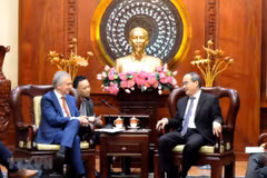 Buscan promover cooperación entre ciudades de Vietnam y Alemania