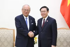 Concede Vietnam importancia a asociación estratégica con Japón