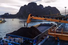 Planea Vietnam producir este mes 3,6 millones de toneladas de carbón 
