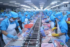 La India, competidor de Vietnam en exportaciones acuícolas