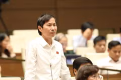 Destacan electores vietnamitas la gestión activa y flexible del Gobierno