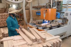 Aumentan exportaciones de productos forestales de Vietnam