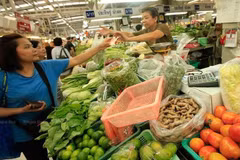 Aprueba Tailandia fondo de asistencia a agricultores para 2020