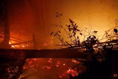 Afectaron los incendios forestales en Indonesia más de 1,6 millones de hectáreas 