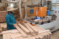Reportan señales positivas para industria maderera de Vietnam en 2020