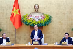 Gobierno de Vietnam celebra reunión ordinaria centrada en diseño de políticas y leyes