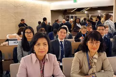 Asiste Vietnam a reunión del Consejo Ejecutivo del GICHD