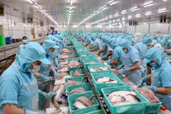 Exportaciones acuáticas de Vietnam disminuyen debido al COVID-19