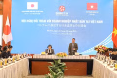 Diálogo busca resolver problemas para empresas japonesas en Vietnam