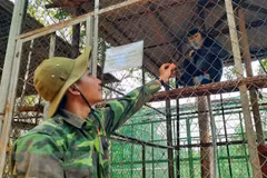 Más de 40 animales liberados en el parque nacional de Quang Binh