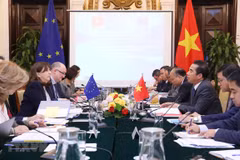 Vietnam invitado a unirse a la misión de capacitación de la UE en la República Centroafricana