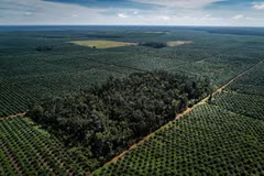 Construirá Tailandia planta desaladora para servir a la producción industrial