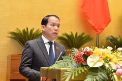 Parlamentarios vietnamitas debaten Ley de reajuste de legislación de sanción administrativa