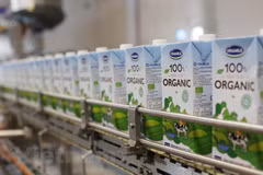 Ventas minoristas en Vietnam aumentan 5,3 por ciento en el primer semestre