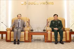 Viceministro de Defensa de Vietnam recibe al embajador chino