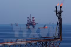 Empresa mixta Vietnam-Rusia Vietsovpetro por recuperar explotación petrolera