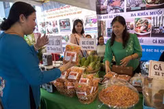 Provincia vietnamita de Kien Giang invierte fondo millonario en programa “Una Comuna, Un Producto”