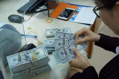 Banco Estatal de Vietnam gestiona estabilidad del mercado de divisas
