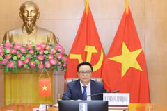 Vietnam asiste a videoconferencia internacional sobre seguridad y cooperación en medio de COVID-19 