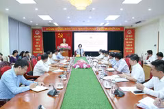 Instan a agilizar movilización de aportes de vietnamitas en exterior al progreso nacional