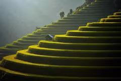 Mu Cang Chai elegido en el top 50 destinos más bellos del mundo en 2020