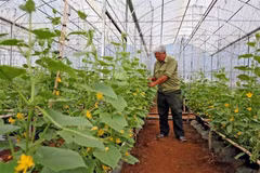 Fortalecen negocios sostenibles en Vietnam para elevar competitividad en mercado mundial