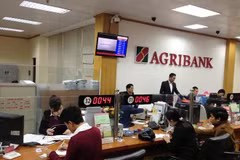 Honran a Agribank con premios de bancos destacados de Vietnam