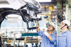 Empresas vietnamitas muestran buenas perspectivas para primer trimestre de 2020