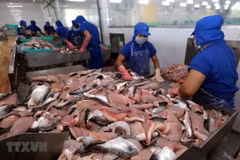 Disminuyen exportaciones pesqueras de Vietnam por COVID-19