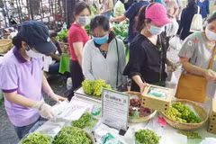 Venta en línea, solución para empresas vietnamitas en medio de epidemia de COVID-19