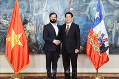 El presidente de Vietnam, Luong Cuong, (D) y su homólogo de Chile, Gabriel Boric Font (Fuente: VNA)
