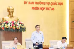 El presidente de la Asamblea Nacional, Tran Thanh Man, interviene en la sesión. (Foto: VNA)
