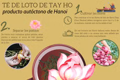 Té de loto Tay Ho, producto autóctono de Hanoi