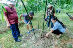 Promueven localidades vietnamitas producción agrícola asociada con ecoturismo