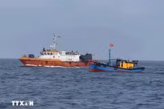 Localidad vietnamita mantiene monitoreo constante de barcos pesqueros