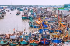 Localidad de Vietnam empeñada en mejorar conciencia en lucha contra pesca ilegal