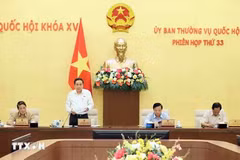 Debaten preparativos para séptimo período de sesiones del Parlamento vietnamita