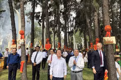 Un rincón del “Jardín de Pinos de la Amistad” (Fuente: VNA)