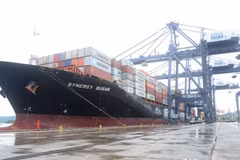 Exportaciones de bienes de Vietnam lograron un elevado nivel en los primeros 5 meses del año en curso. (Foto: Vietnam+)