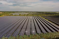 Planta de energía solar Europlast Long An en la comuna de My Thanh Bac, distrito de Duc Hue, provincia de Long An. (Fuente: VNA)