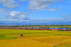 Se espera que la industria ferroviaria experimente muchos desarrollos de infraestructura y cambios en los modelos de producción y negocios. (Foto: Vietnam+)